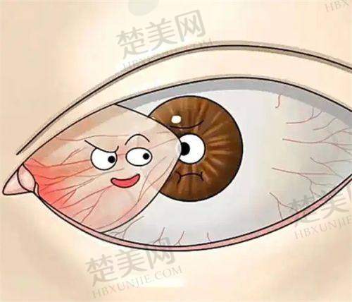 五、贵阳佰视佳眼科医院在哪里啊——医院医生团队