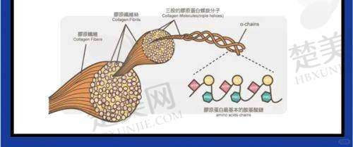 四、晋江市医院整形外科科研教学成果大曝光