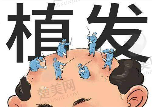 二、国内医学科学 院北京协和医院——高难度毛发移植的金字招牌