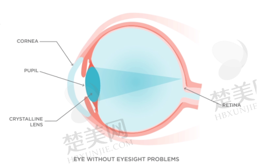 二、邯郸爱眼眼科医院是三等甲医院吗——医院发展历程与现状