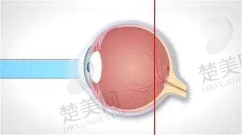 五、南京东南眼科医院的业内声誉与患者评价