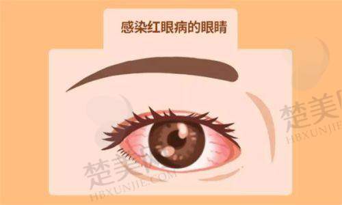 六、苏州光明眼科医院的未来展望