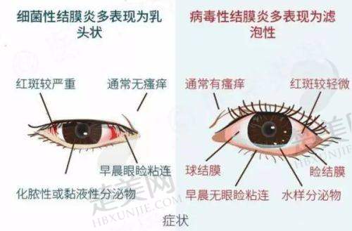三、南通江河泽明眼科医院的医生团队