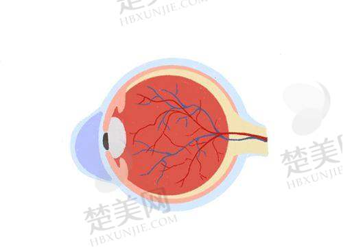 四、成都佰视佳眼科医院是国有还是民办医院呢——特色服务介绍