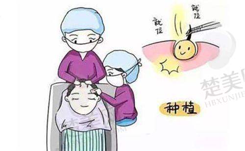 三、惠州麦穗医疗美容诊所（麦穗植发）诊疗项目有哪些？