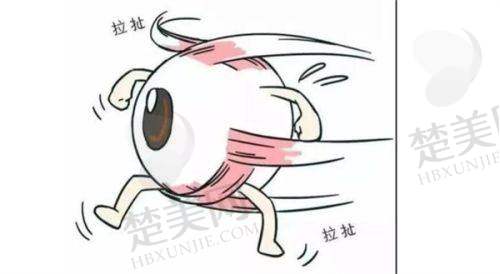 五、上海九院整形价格情况