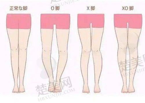 七、哈尔滨双燕医疗美容门诊部地址及交通