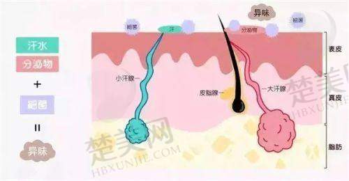 七、成都军大整形医院：未来发展前景广阔