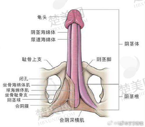 三、程开祥医生手术靠谱的原因
