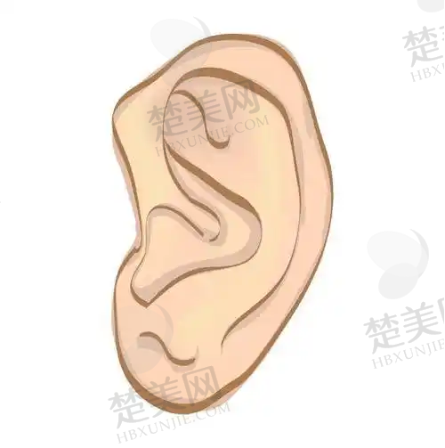 二、专科团队：为您的美丽保驾护航