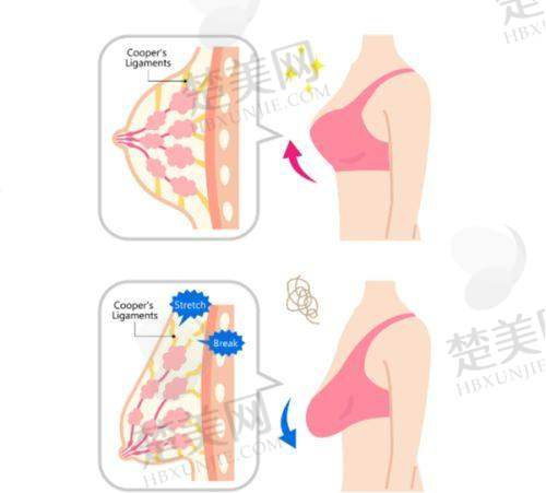 四、南京医科大学友谊整形外科医院泰州医疗美容门诊部特色项目