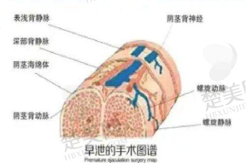 三、南宁华美整形美容医院服务质量
