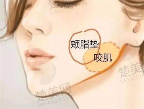 五、宁波艺星时代美容医院医生介绍