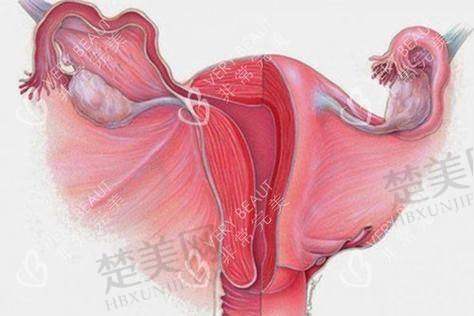 三、武汉龚美云医生擅长领域
