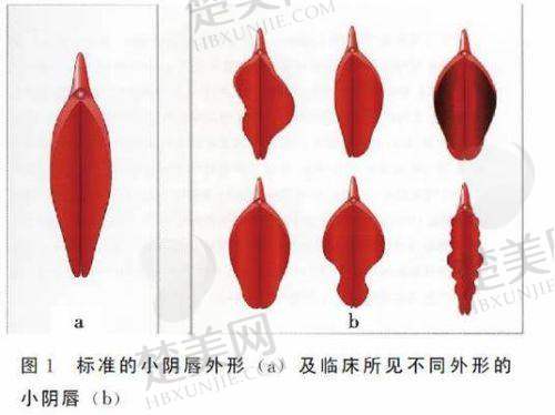三、成都市第三人民医院——区域医疗重要综合性医院的私密整形服务