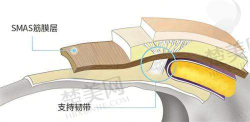 一、阜阳壹加壹医疗美容门诊部正规吗?