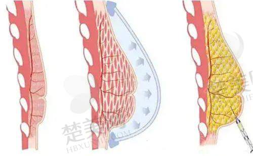 七、亳州康美医疗美容诊所地址及交通