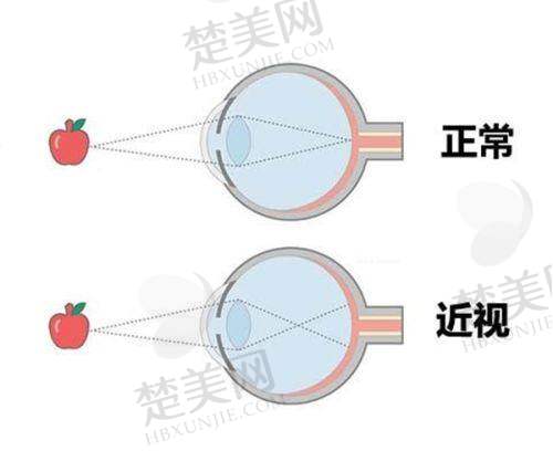 一、宜昌市中 心人民医院基本情况