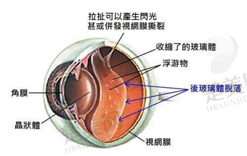 四、南平华厦眼科医院正规吗——资质大考察