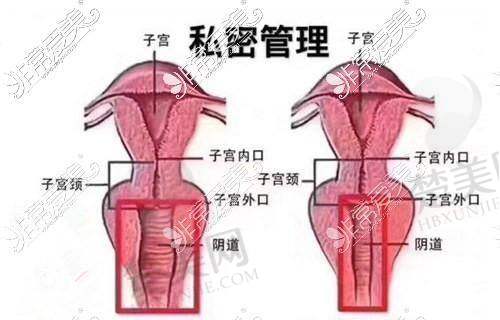 六、成都棕南医院私密整形手术的消毒措施到位吗啊