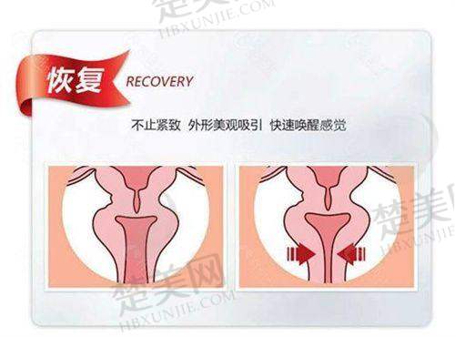 五、北京画美整形热榜医生推荐