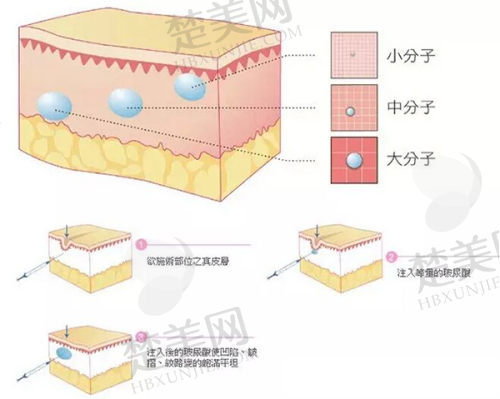 三、赣州华美医疗美容门诊部诊疗项目有哪些？