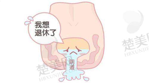 三、深圳打紧缩针：准备好预约所需信息