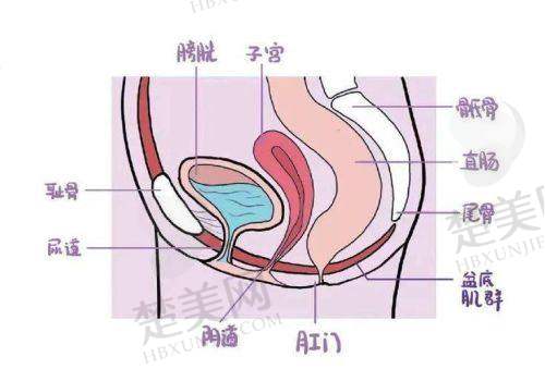 二、深圳打紧缩针：多样预约方式任你选