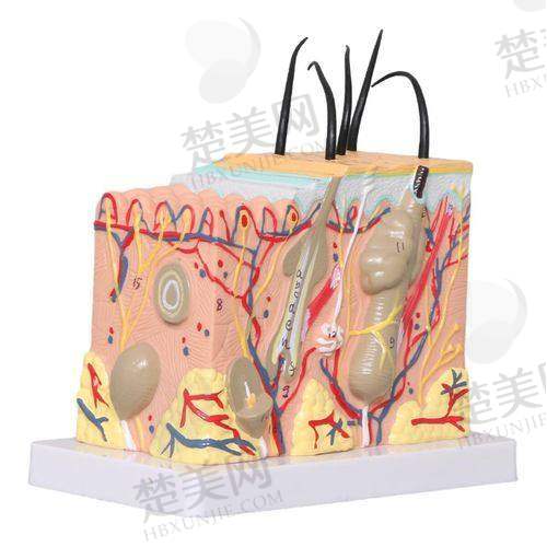 1. 医院设备限制