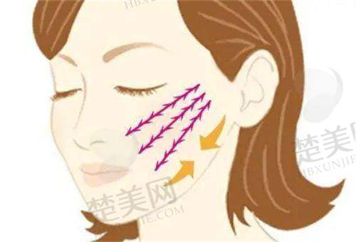 驻马店缔莱美医疗美容门诊部价格表