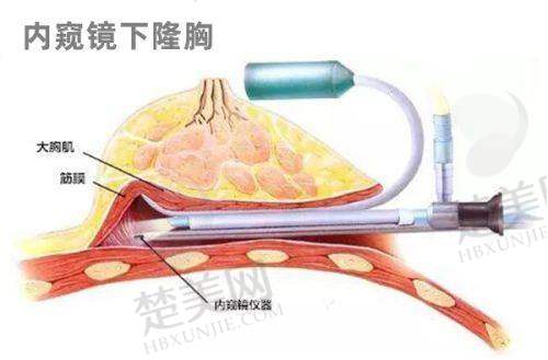 三、广州星面孔医疗美容门诊部诊疗项目有哪些？