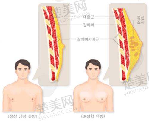 三、广州荔医整形医院：多样项目满足你的需求