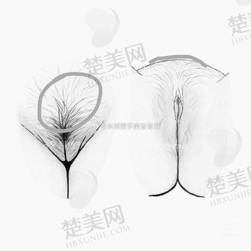 二、私立专科医院排名情况及特色服务