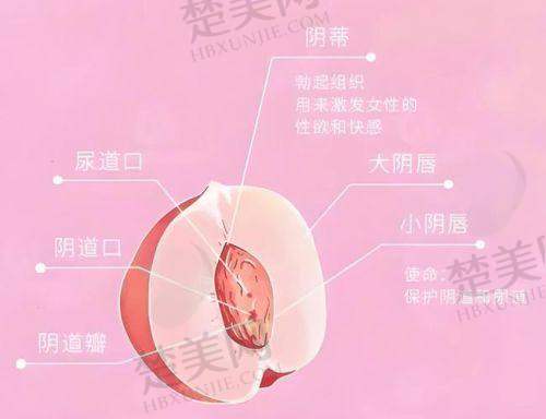 一、郑州科 大私密整形张红歌医生简介