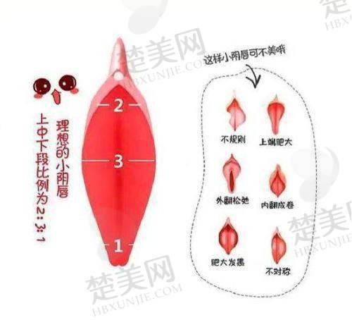一、上海虹桥医院私密科