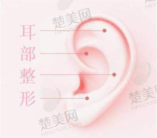 八、深圳依美医疗美容门诊部预约方式