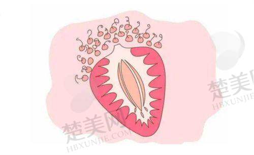 四、榆林瑞美瑞亚医疗美容门诊部特色项目