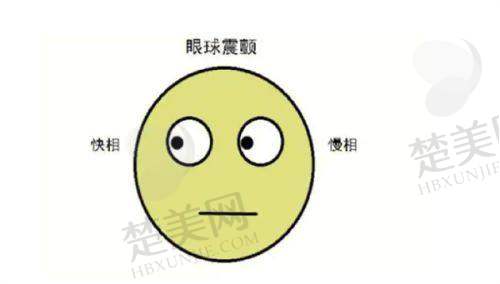 七、如何预约北京同仁医院眼科骨干医生