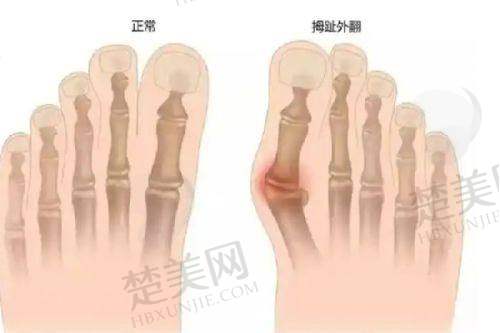六、成都武侯艾米丽医疗美容门诊部：高品质服务的典范