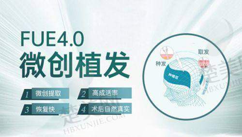 十、沈阳杏林其他整形项目医院价格情况