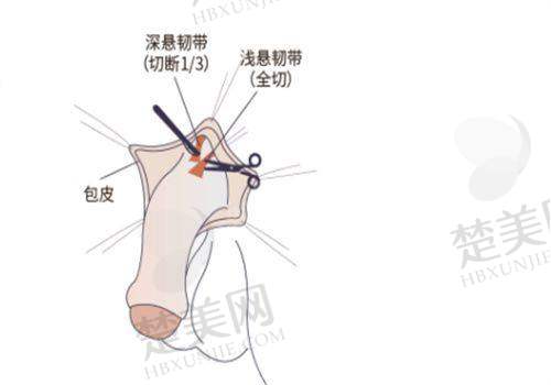 五、成都西部#2Y*&x*b结合医院整形科