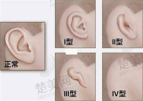 五、预约张亚楠医生的方式