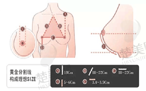 八、总结与变得更美建议