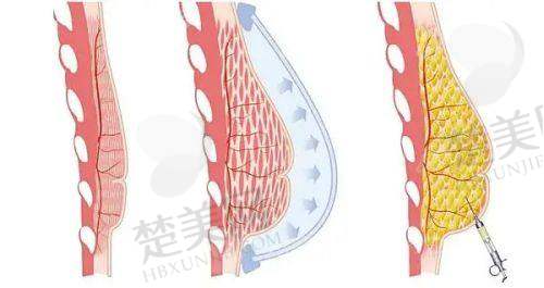九、珠海科思美医疗美容：科技创新引领整形潮流