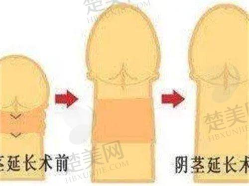 七、成都恒博天姿医疗美容