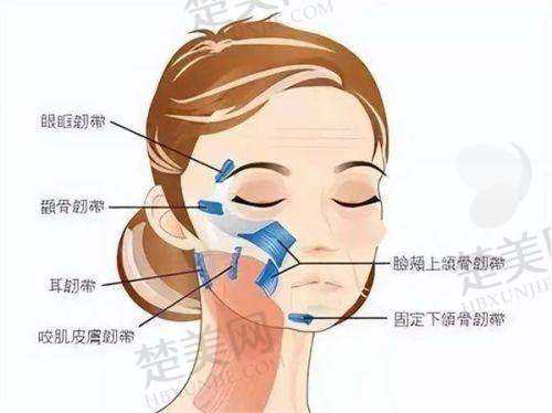 十、韩国431整形外科：追求自然和谐美的修复骨干医生