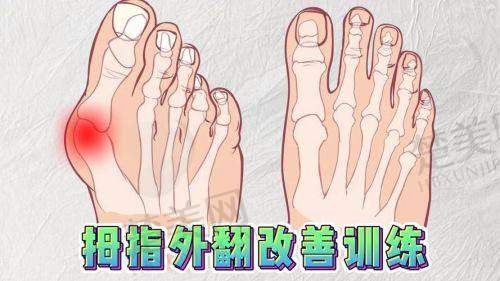 五、优质服务与患者满意度