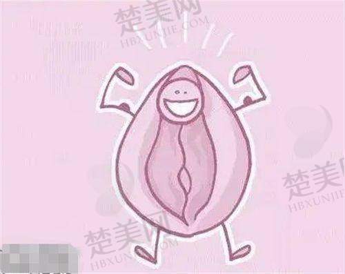 四、成都素美医疗美容：预约方式与流程