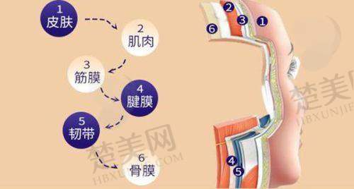 二、兰州维多丽亚整形医院项目全解析