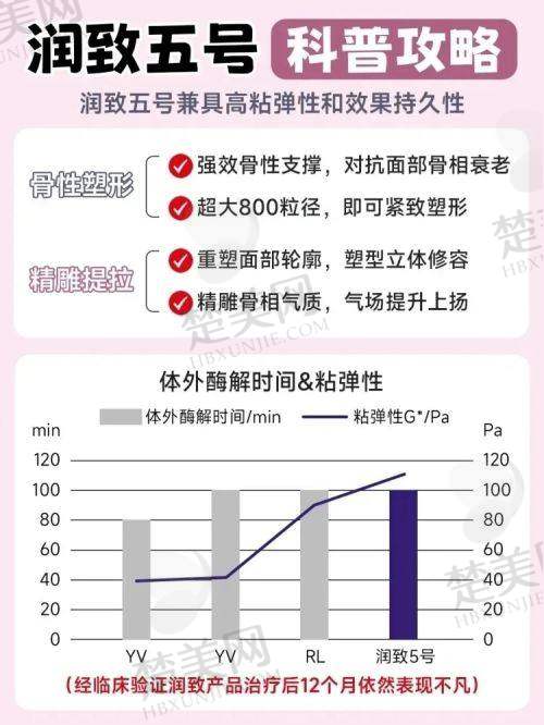 七、总结与建议